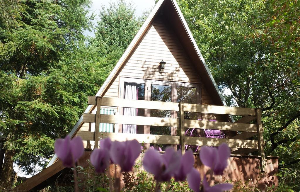 La Rossignolerie - Cabane Aux Oiseaux Chouzy-sur-Cisse Exteriör bild